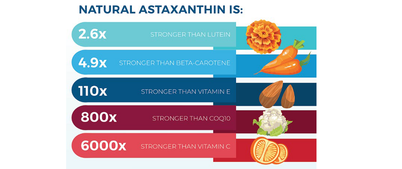 astaxanthin antioxidant