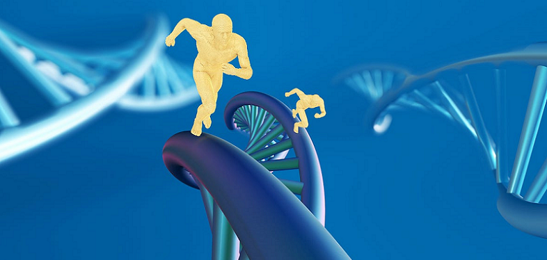 exercise affects dna