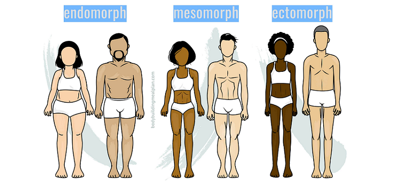 identifying body type
