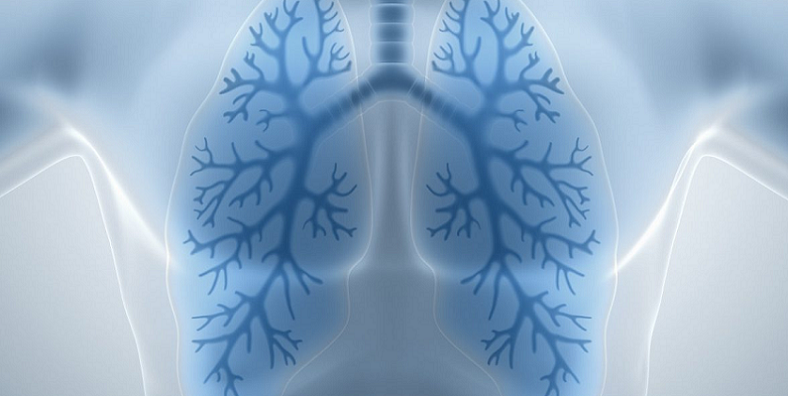 serrapeptase respiratory benefits