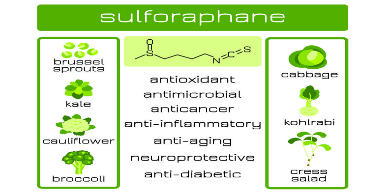 sulforaphane phytochemical