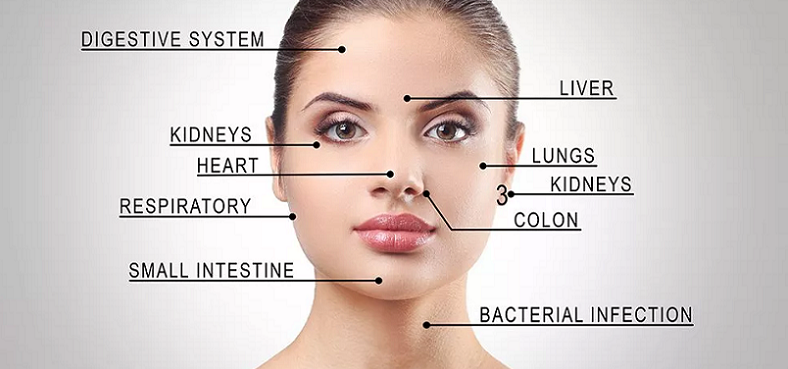 understanding face mapping