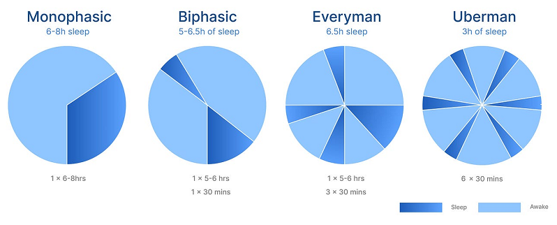 understanding polyphasic sleep