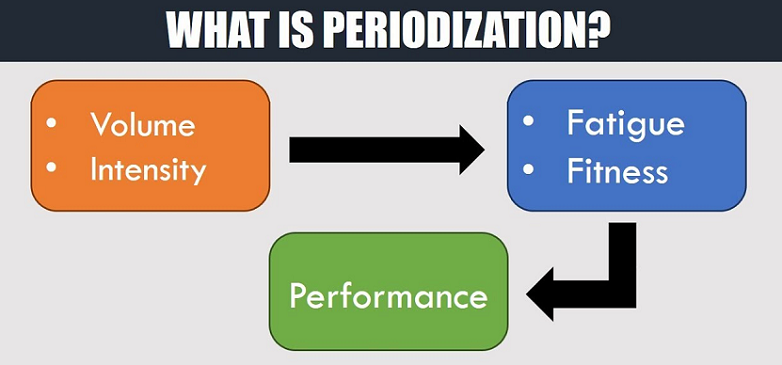 about periodization training