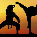 aikido capoeira lesser-known martial arts