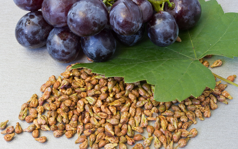 grape seed extract skin benefits