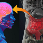 nutritional psychiatry gut brain connection